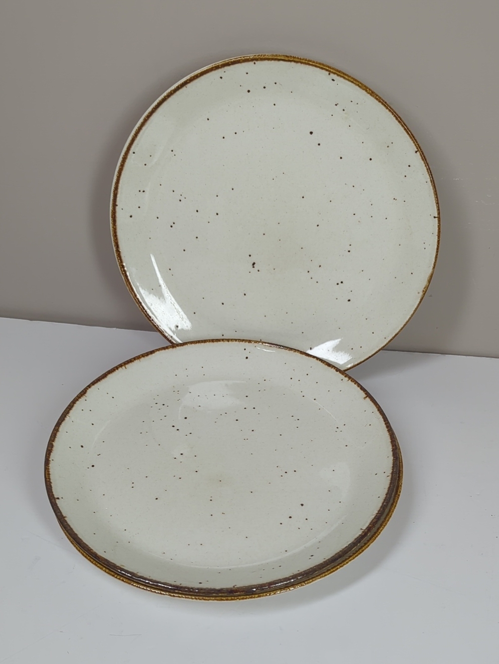 J&G Meakon Lifestyle Speckled Cream Stoneware Dinner Plate with Brown Rim 3